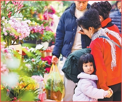 年货盈门 物阜民丰（新时代画卷）