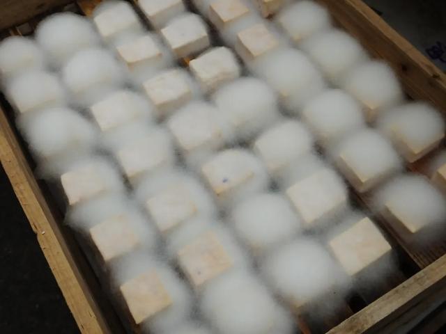 第一批自制霉豆腐的人已经是绝命毒师了