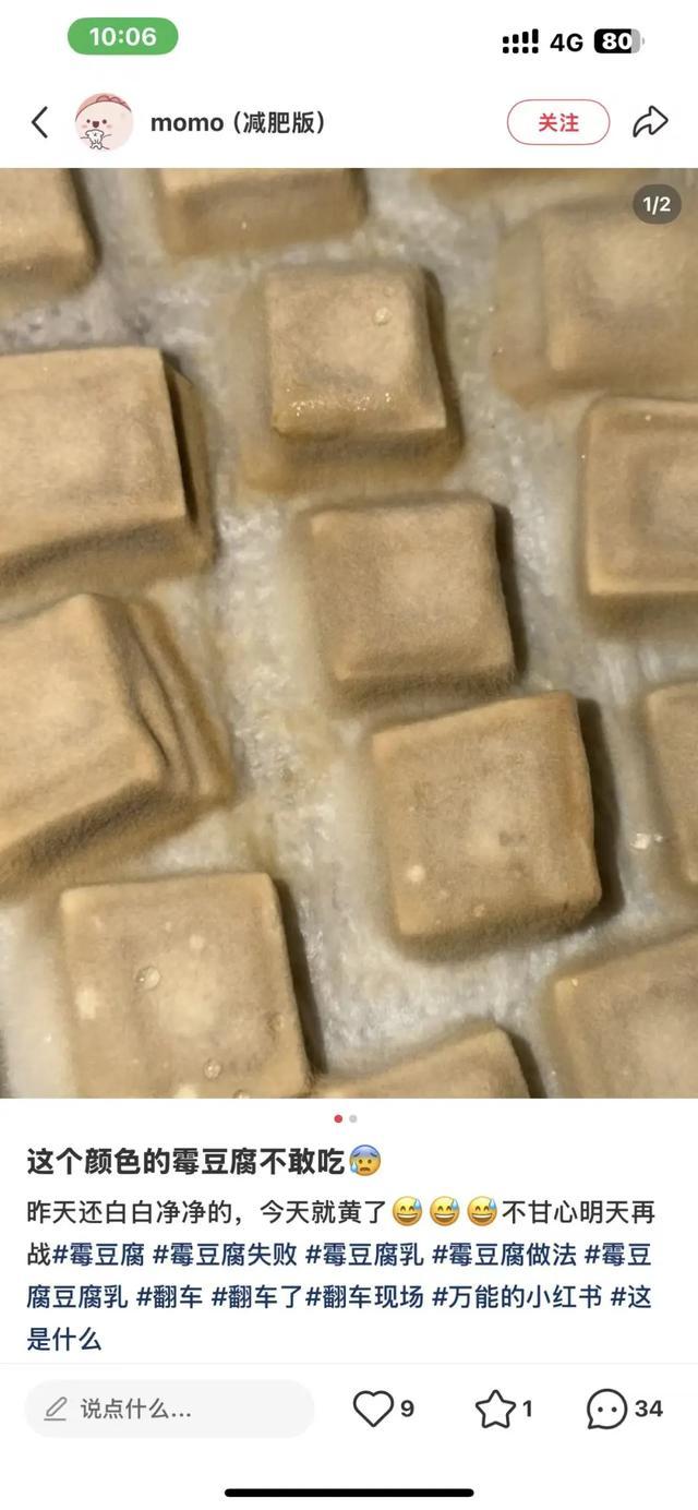 第一批自制霉豆腐的人已经是绝命毒师了