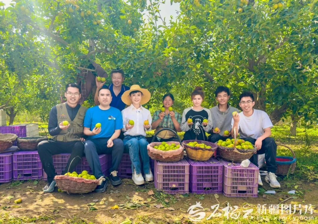 2024年9月,贺娇龙(前排左三)在库尔勒市一处香梨园和果农一起拍宣传片。