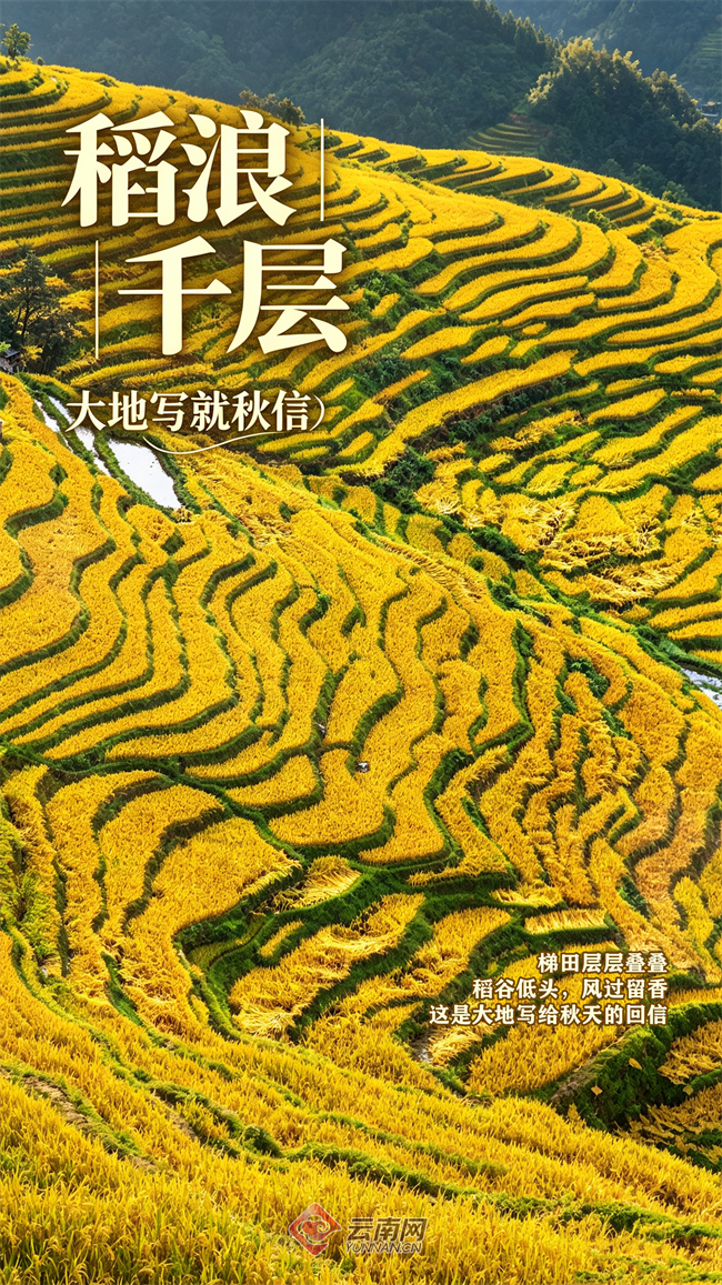 秋天9视觉海报设计_副本.png