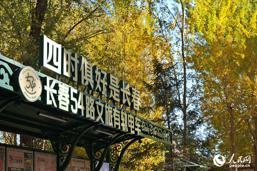 今年54路电车南阳路站文旅站台上新。人民网记者 李洋摄