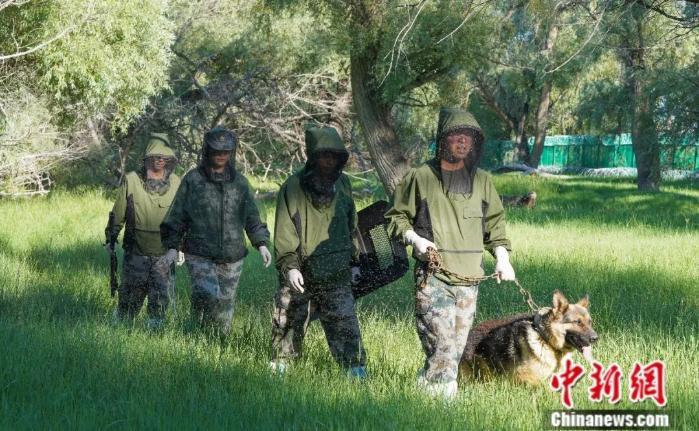 一八五团护边员顶着蚊虫袭扰巡边。李正虎 摄