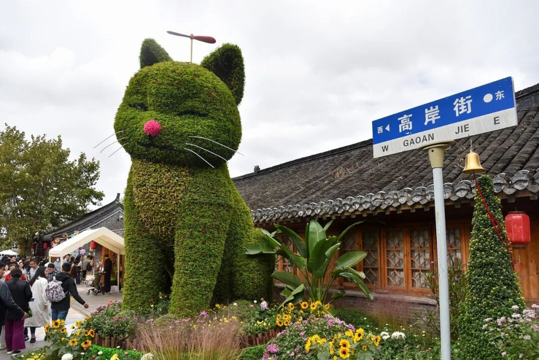 【唐闸古镇菊花市集开市啦！南通人扎堆打卡！】 这两天 南通唐闸古镇人