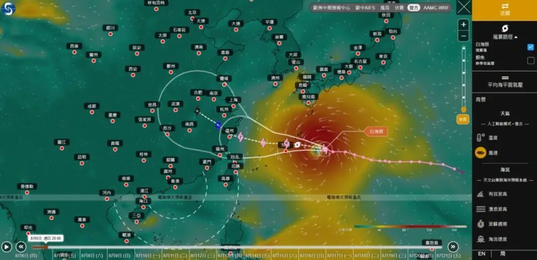 为什么人人都在追白海豚?
