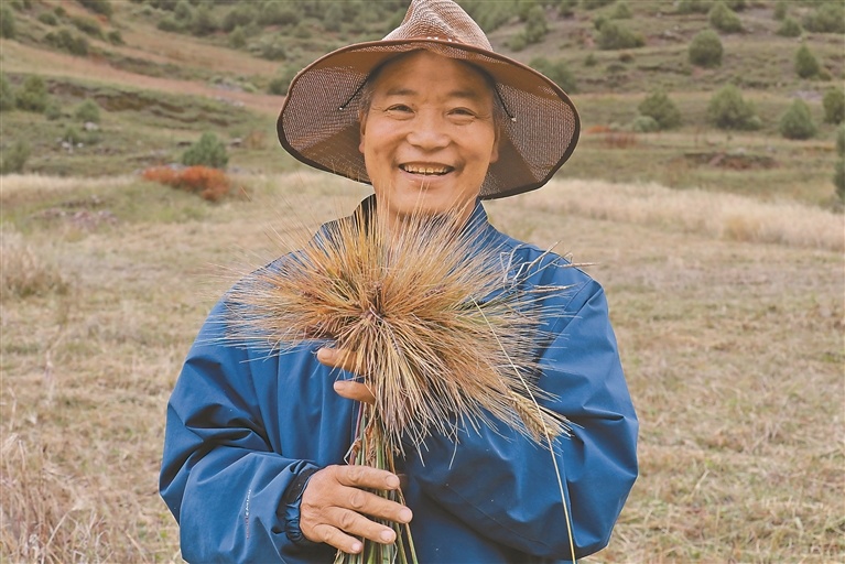 索县群众手捧黑青稞穗，脸上满是丰收的喜悦。记者 汪纯 摄