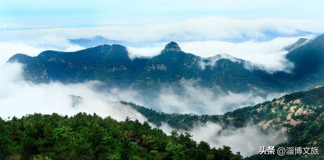 沂源鲁山森林公园