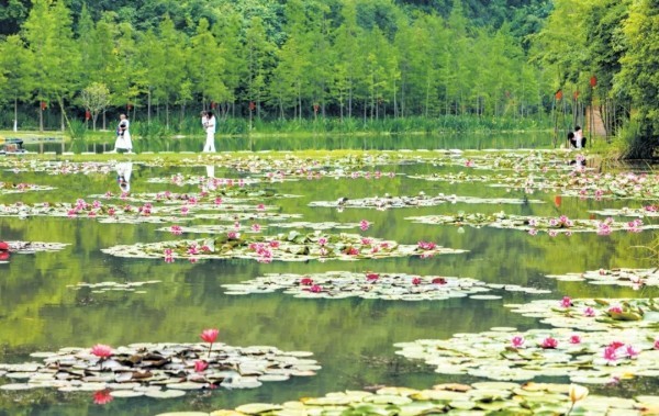 长河湾