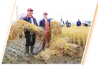  定制农业，如何让供需精准“握手”（人民眼&middot;提升农业质量效益）