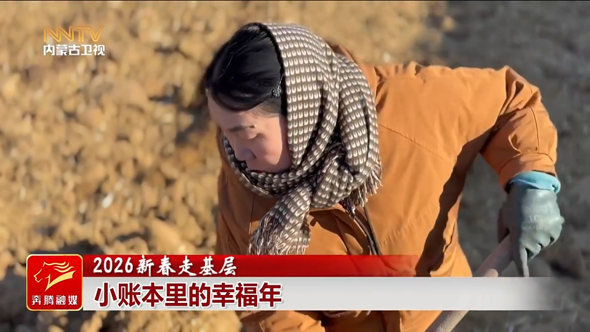 视频截图