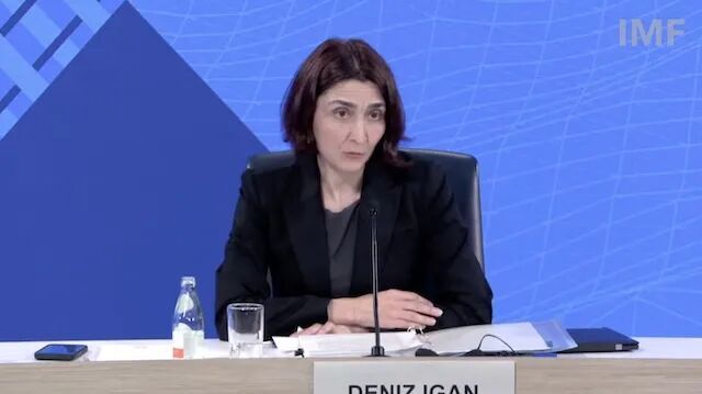 德尼兹&middot;伊甘出席IMF《世界经济展望》报告发布会