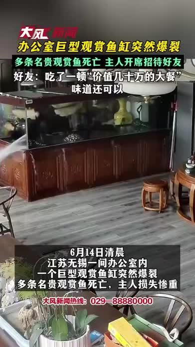 办公室巨型观赏鱼缸突然爆裂 多条名贵观赏鱼死亡 主人开席招待好友 好友：吃了一顿“价值几十万的大餐”味道还可以