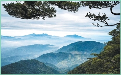 海南热带雨林国家公园五指山片区。捷克苏马瓦国家公园前主任伊瑞&middot;马内克摄