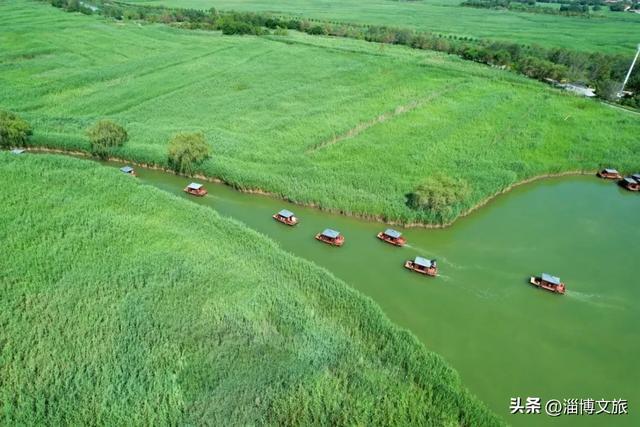 山东文旅马踏湖旅游区