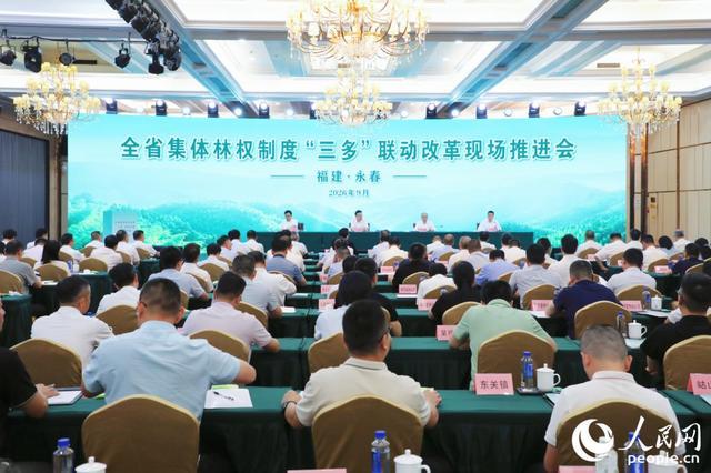 福建省集体林权制度“三多”联动改革现场推进会。人民网记者 李唯一摄