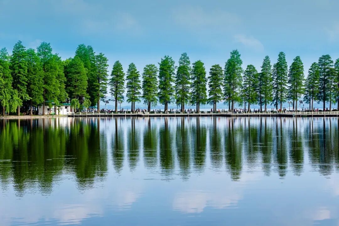 摄图网_500913313_武汉东湖风景区绿荫道_(企业商用).jpg