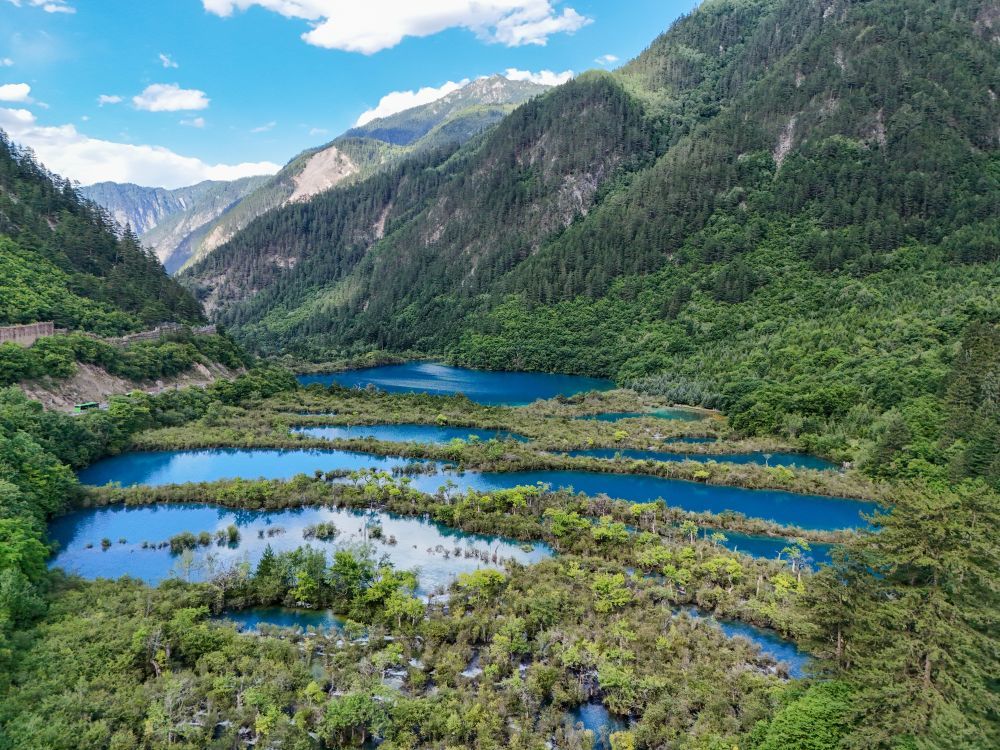 这是8月5日在四川九寨沟景区拍摄的树正群海。新华社记者 王曦 摄