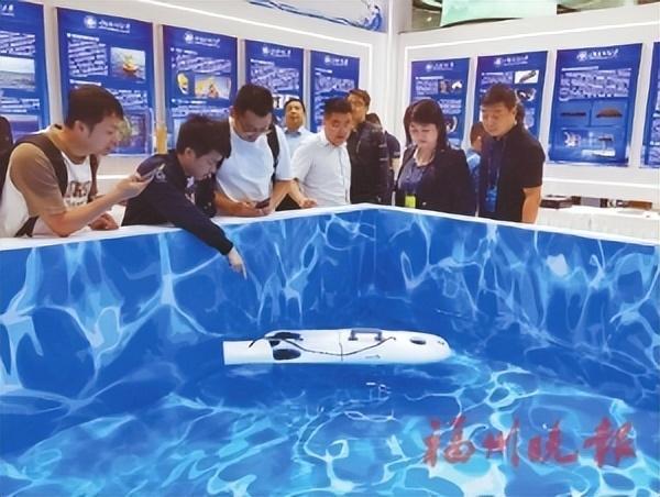微型水下具身机器人。
