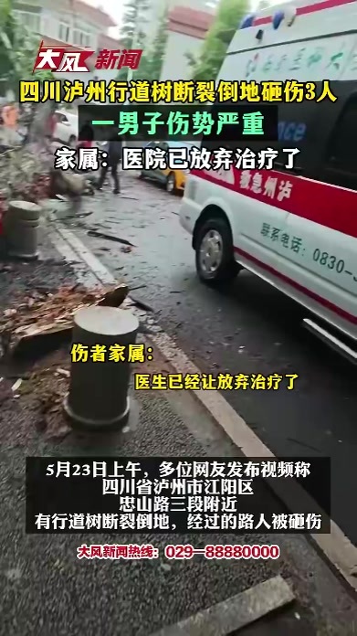 四川泸州行道树断裂倒地砸伤3人，一男子伤势严重 家属：医院已放弃治疗了