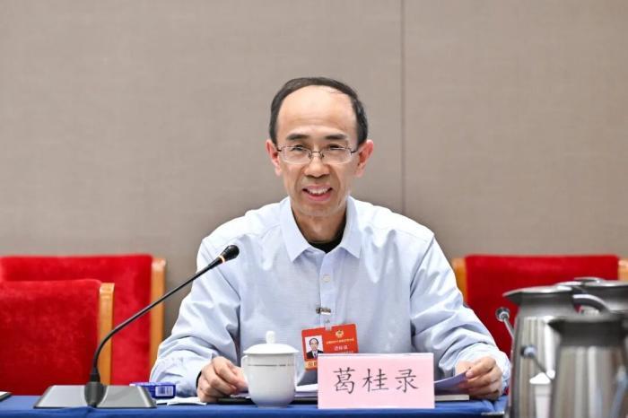 葛桂录。受访者供图