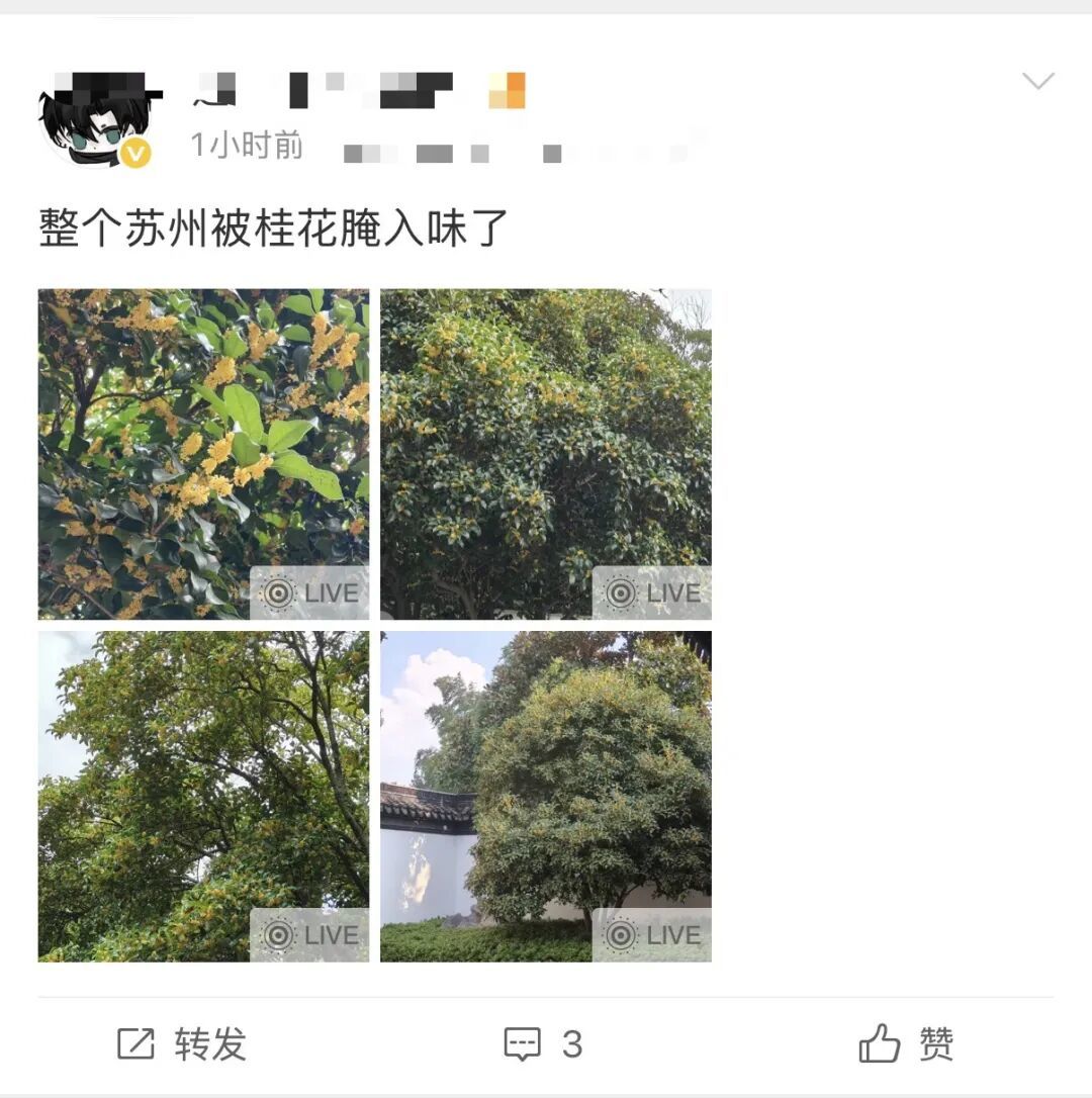 微信图片_20261014102128.jpg