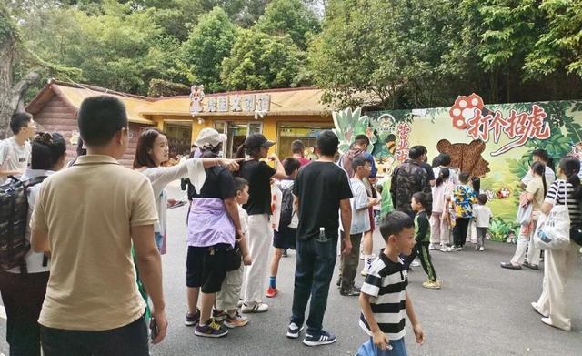 游客排队玩“打个招虎”游戏