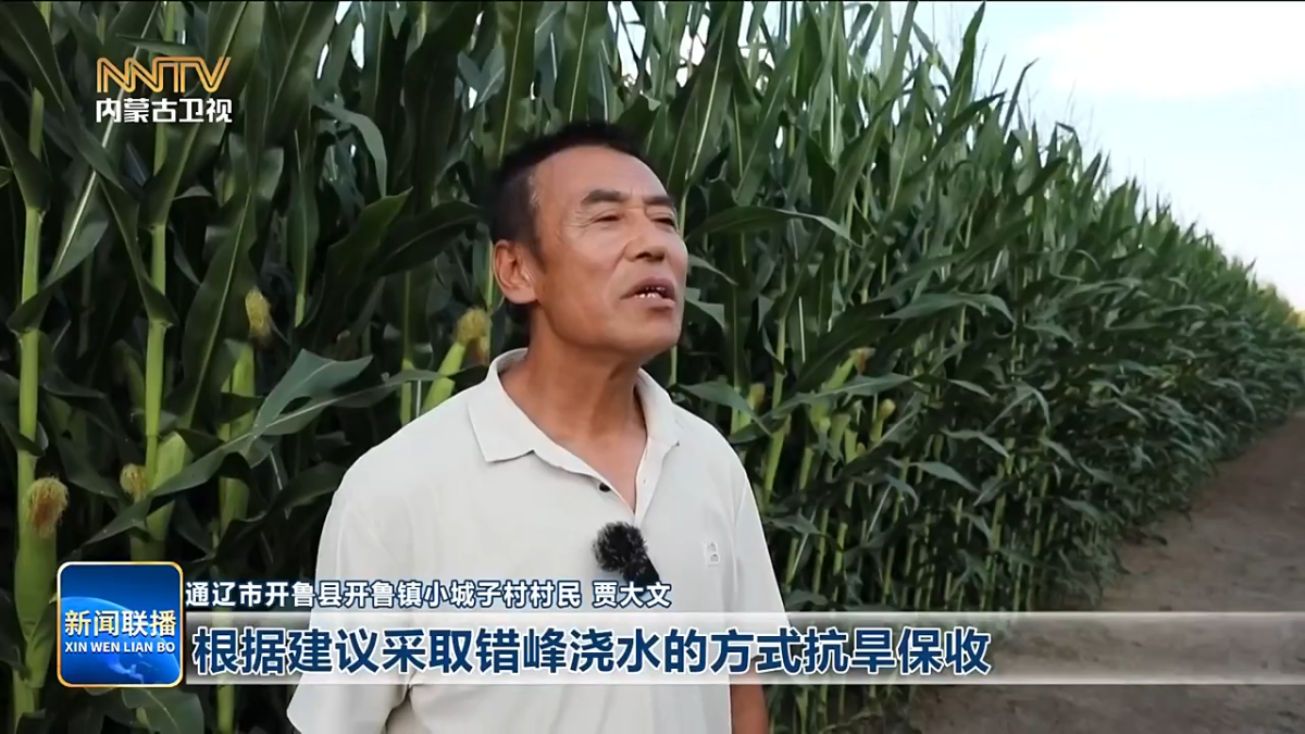 视频截图