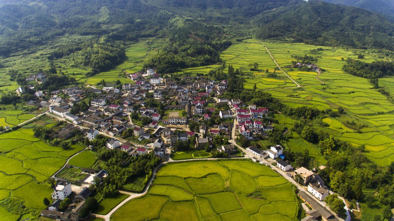 新丰乡乡村风貌。黄山区委宣传部提供