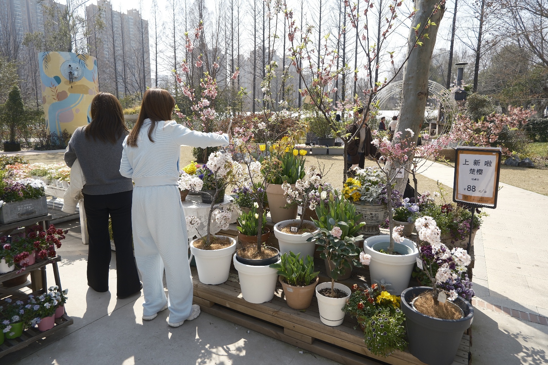 微信图片_20260316125908_1544_345