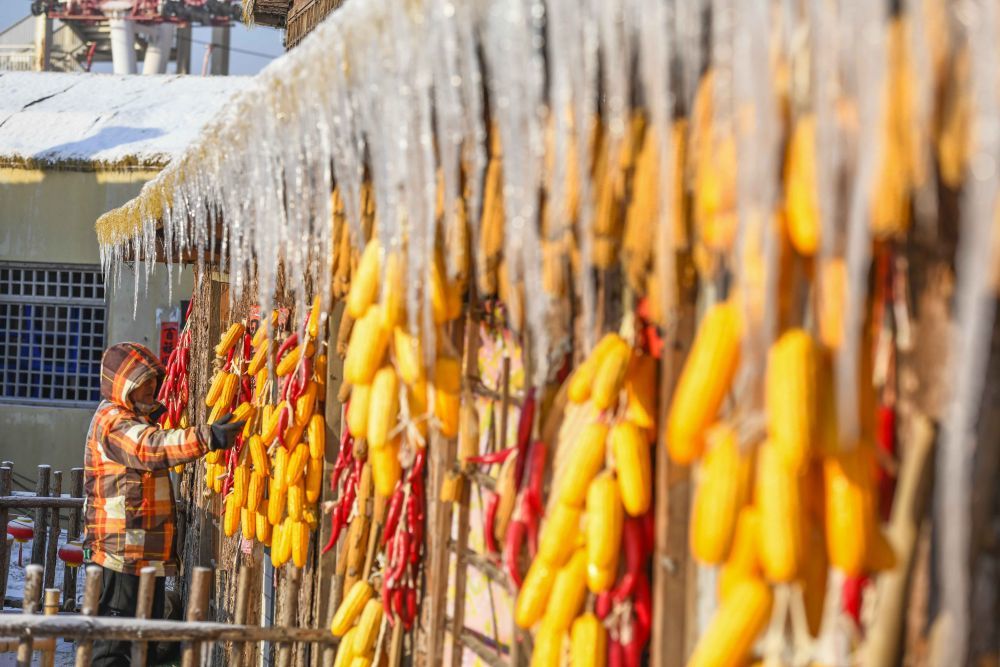 ↑1月12日在河北省遵化市团瓢庄镇山里各庄雪乡景区拍摄的冬景。新华社发(刘满仓摄)