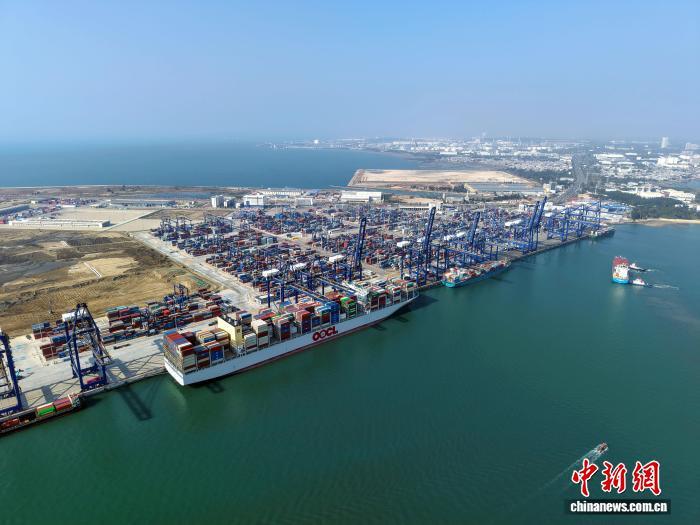 1月14日,洋浦国际集装箱码头巨轮靠泊进行装卸作业。中新网记者 林士杰 摄