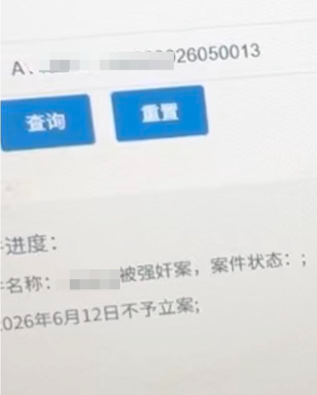 ▲张磊（假名）查询到的案件不予立案状况 受访者提供