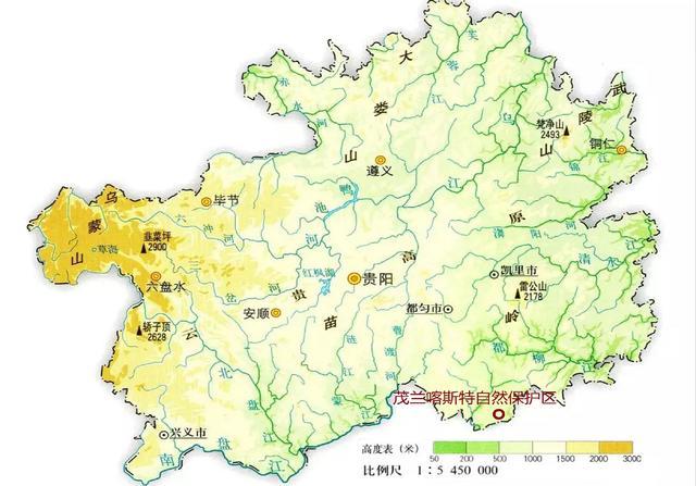 茂兰喀斯特自然保护区