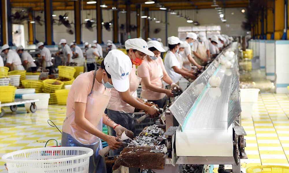 图片来源：视觉中国