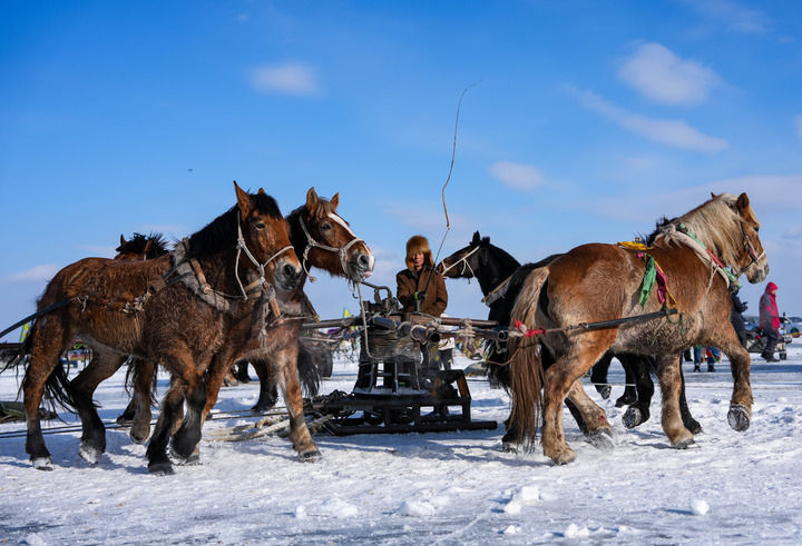 1月7日，吉林&middot;查干湖第24届冰雪渔猎文化旅游节在捺钵广场拉开帷幕。图为渔民赶马拉动绞盘，将渔网从冰面拉出。 新华社记者 颜麟蕴 摄