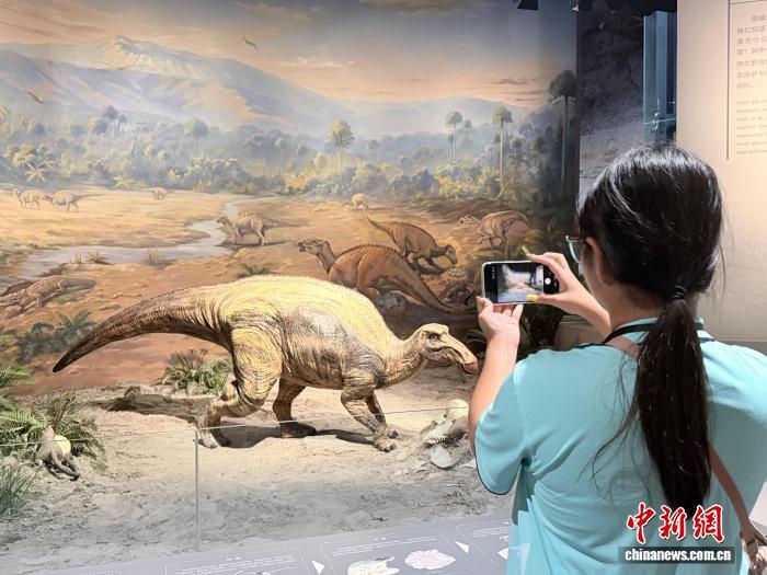 第三期美国华裔青少年“巴蜀文化品悟之旅”11日走进三星堆博物馆和自贡恐龙博物馆。图为美国华裔青少年在恐龙模型前拍照。 袁牟知博 摄