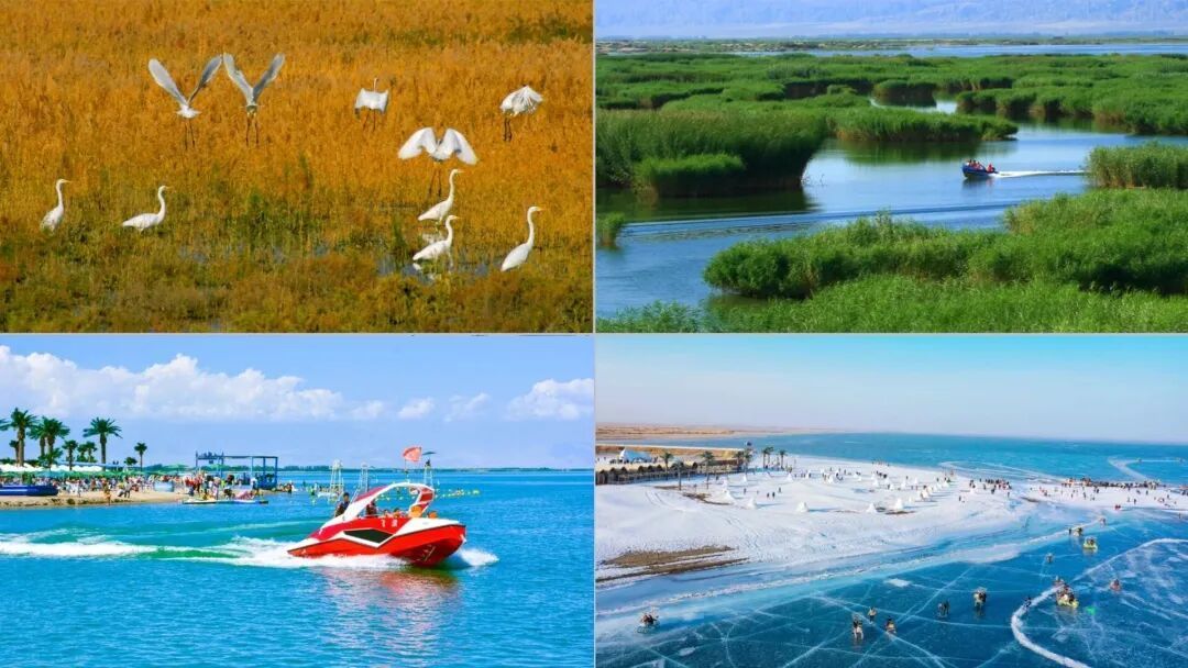 视频丨“不是打穿天山容易，而是天山那头有人民！”