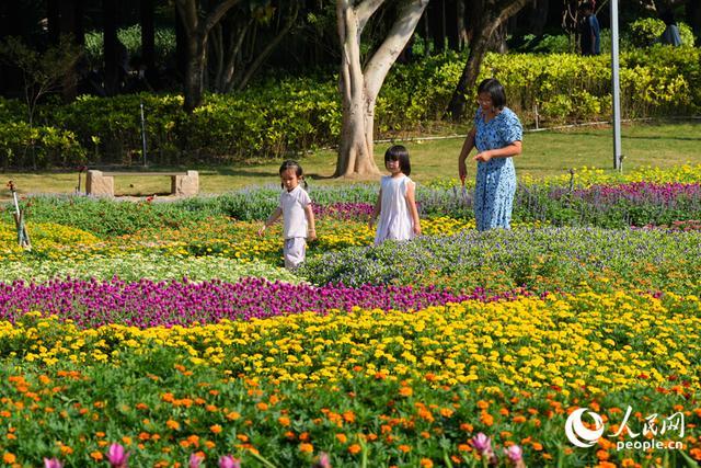 “调色盘”花海成为亲子出游好去处。人民网记者 陈博摄