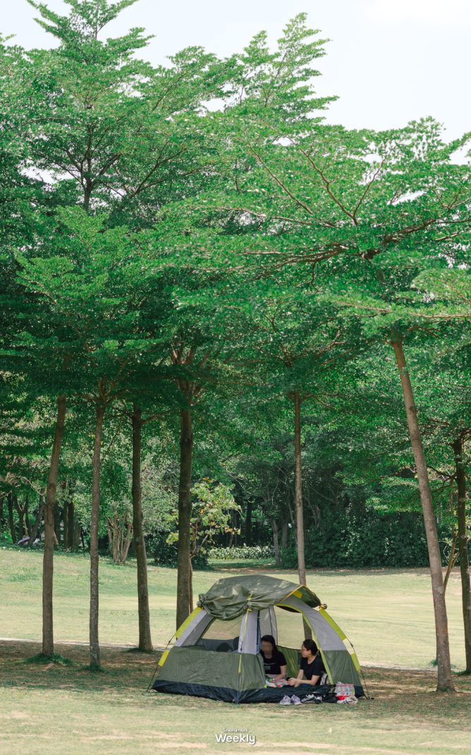 3be529f400867bd1361dd86b24f26771.png