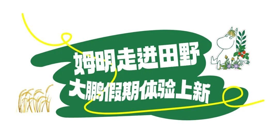 旅游露营地春游踏青活动流程展示全屏海报 (5).jpg