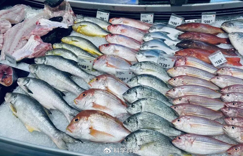 如何安全吃鱼（来源：作者拍摄）