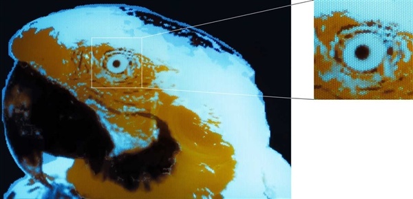 像素级光刻!科学家造出超高分辨率微型OLED:只有变形虫大小