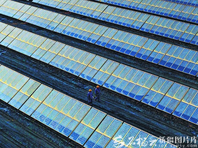 尉犁海为新能源有限公司20兆瓦光伏电站,运维人员在安全巡检。该光伏电站年发电量达2050万千瓦时。汪志鹏 摄