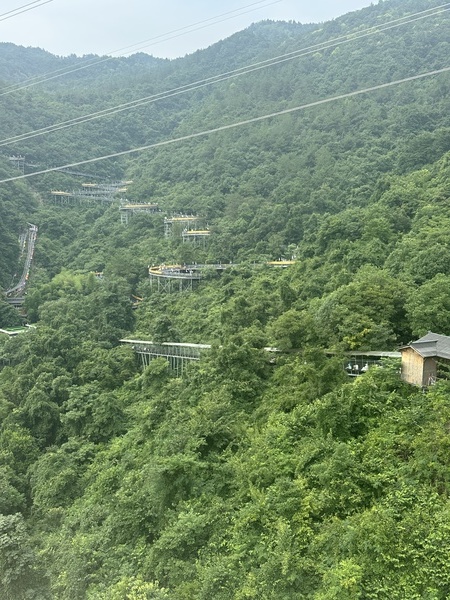 IMG_1340.JPG