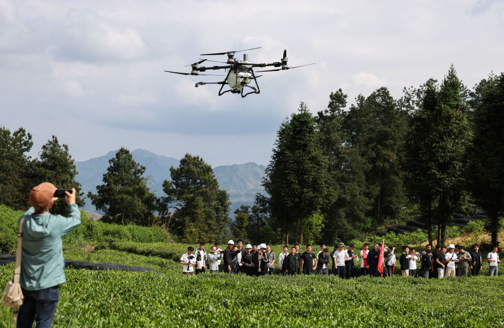 4月17日，2026年贵州省山地特色高效农业无人机应用（农作物植保）培训班在贵州省黔南布依族苗族自治州都匀市开展实训。图为学员在贵州省黔南布依族苗族自治州都匀市匀东镇摆茶村抹茶种植基地学习农业无人机茶园飞防实操技术。（新华社记者 杨文斌 摄）