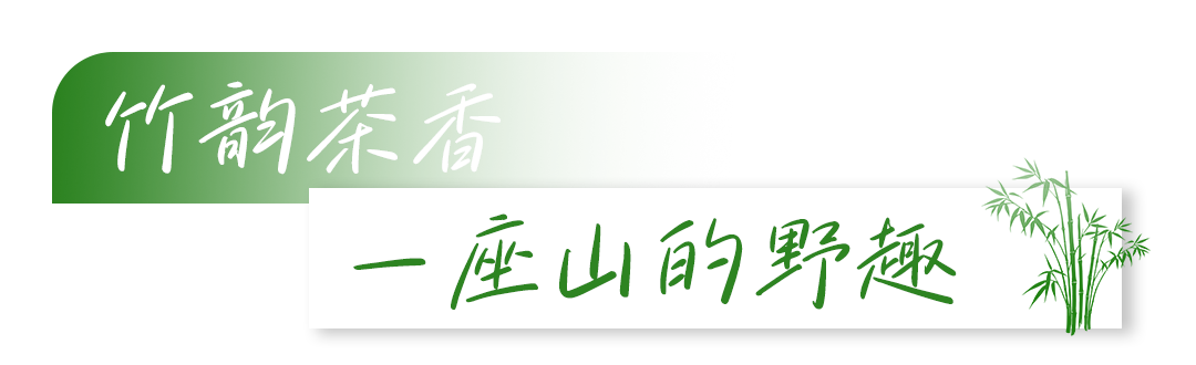 线路小标题5.png