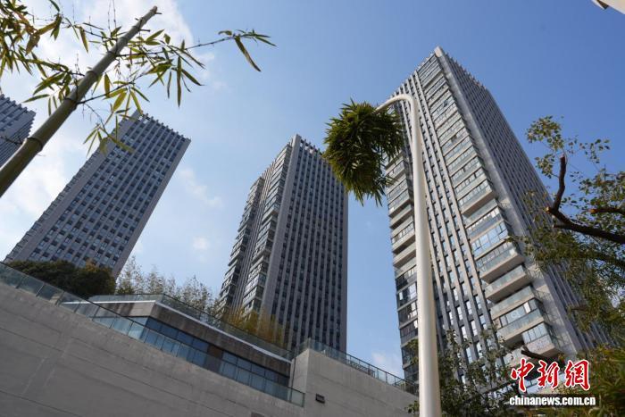 1月21日,在绍兴新昌,一根竹子穿过灯杆,探出枝叶。潘若平 供图