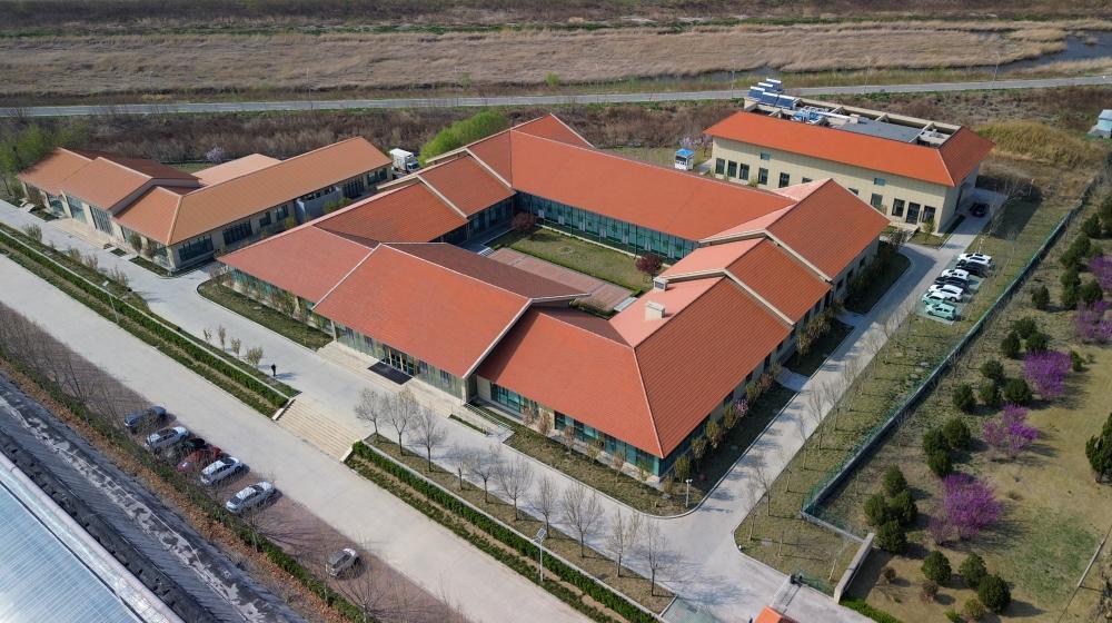 4月1日拍摄的寿光蔬菜种质资源库（无人机照片）。