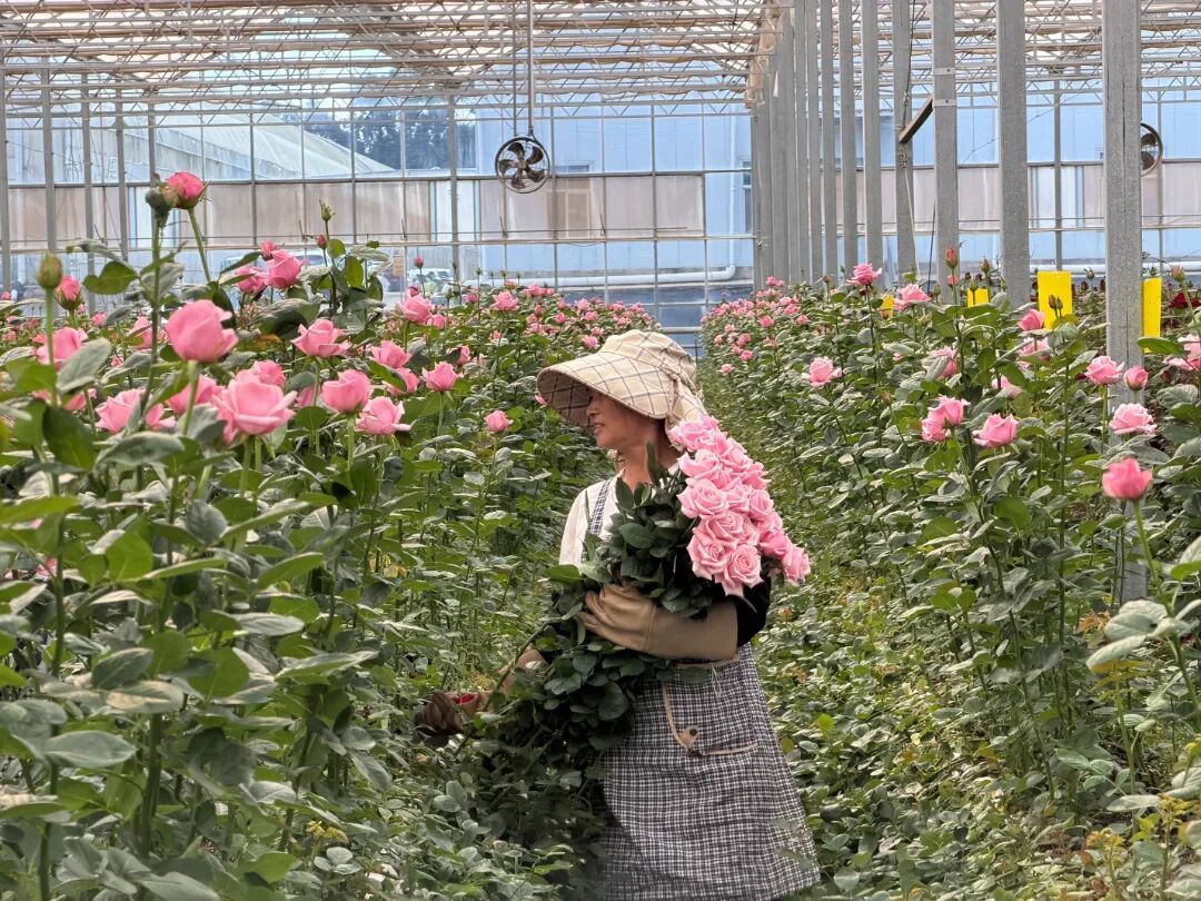 微信图片_20261029154413_86_39.jpg