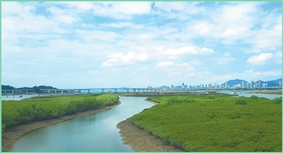 福建厦门市下潭尾红树林公园。福建海洋研究所援外培训项目土耳其学员 穆拉特&middot;苏巴西摄